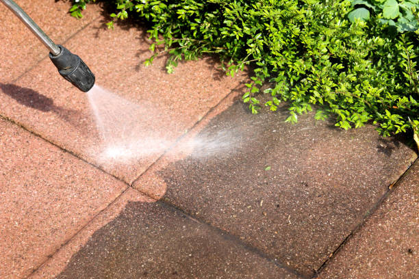 Best Deck Cleaning Services  in West Salem, WI